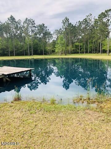 6080 Hans Rd, Moss Point, MS 39562 photo 4