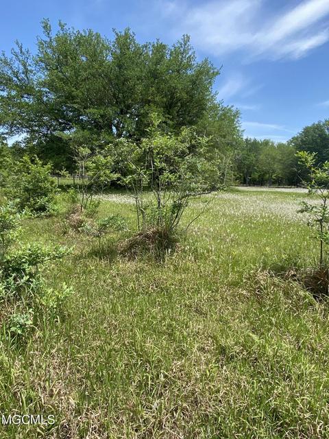 4008 Kasper Rd, Moss Point, MS 39562 photo 30