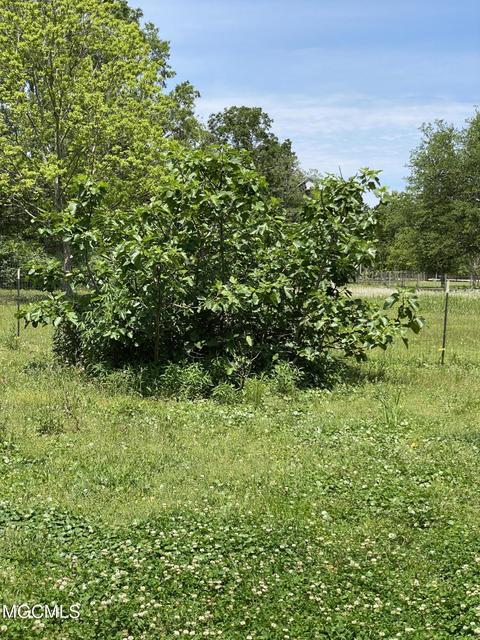 4008 Kasper Rd, Moss Point, MS 39562 photo 45