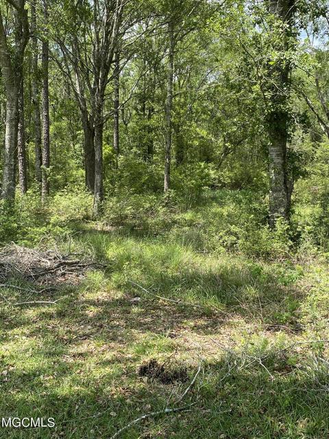 4008 Kasper Rd, Moss Point, MS 39562 photo 36