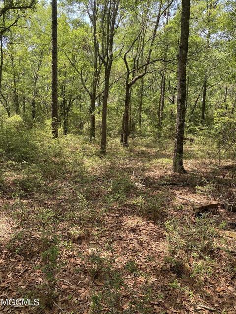 4008 Kasper Rd, Moss Point, MS 39562 photo 26
