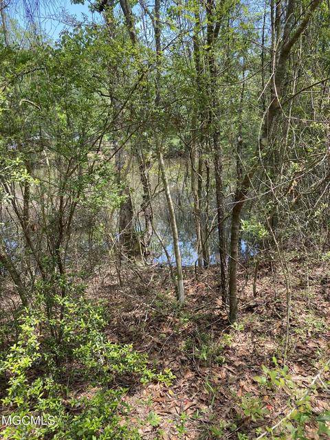 4008 Kasper Rd, Moss Point, MS 39562 photo 34