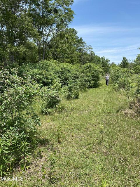 4008 Kasper Rd, Moss Point, MS 39562 photo 33