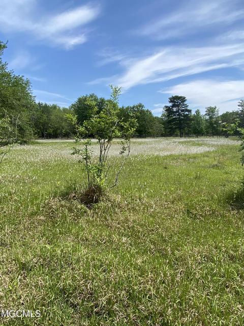 4008 Kasper Rd, Moss Point, MS 39562 photo 28
