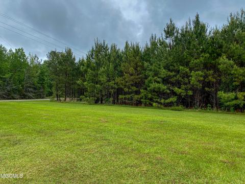 1056 K Town Rd, State Line, MS 39362 photo 14