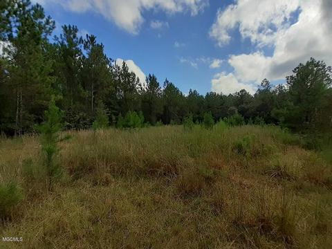 1895 Ms-29, Brooklyn, MS 39425 photo 8