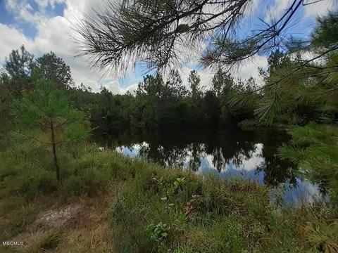 1895 Ms-29, Brooklyn, MS 39425 photo 1
