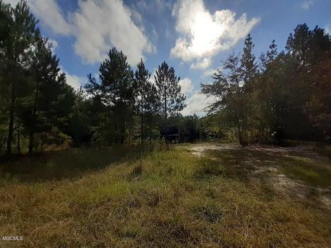 1895 Ms-29, Brooklyn, MS 39425 photo 5