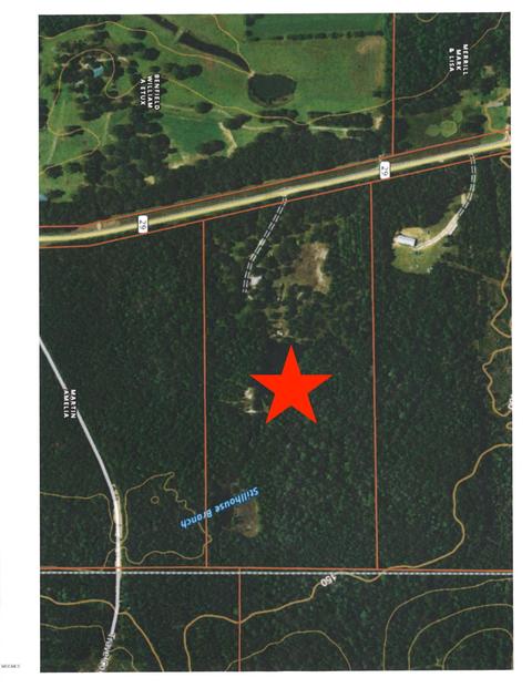 1895 Ms-29, Brooklyn, MS 39425 photo 2