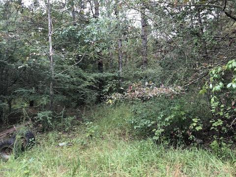 1895 Ms-29, Brooklyn, MS 39425 photo 10