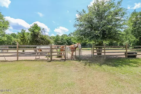 299 Grain Elevator Rd, Lucedale, MS 39452 photo 37