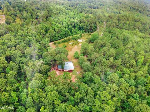 266 Lloyd Eubanks Rd, Lucedale, MS 39452 photo 2
