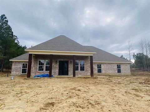 139 Edward Owens Dr, Terry, MS 39170 photo 1