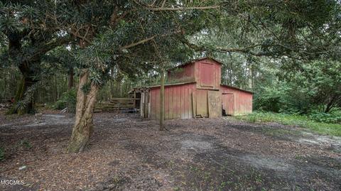 20609 Basch Rd, Long Beach, MS 39560 photo 10