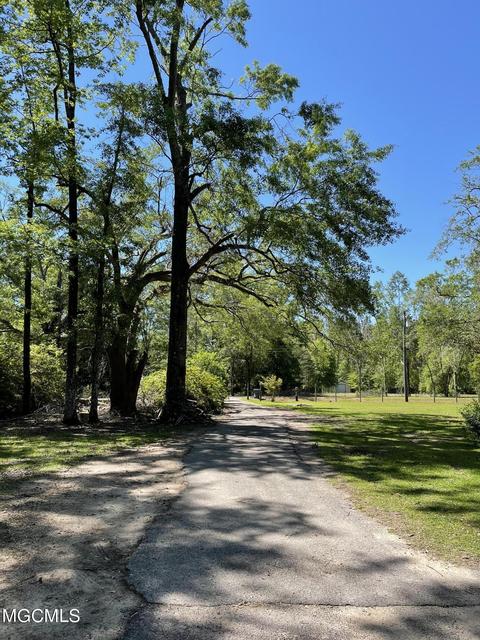 150 Mill Street Ext, Lucedale, MS 39452 photo 3