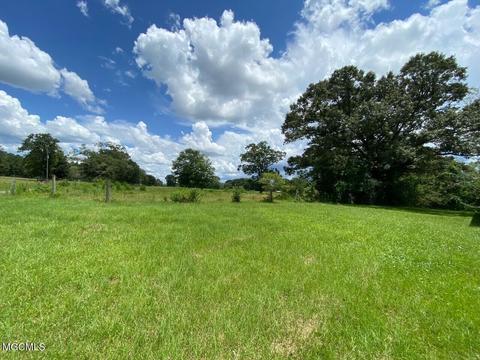 25163 Mchenry Rd, Saucier, MS 39574 photo 14