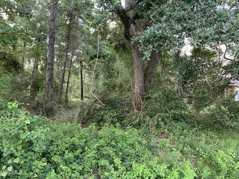 6823 Hilo St, Diamondhead, MS 39525 photo 1
