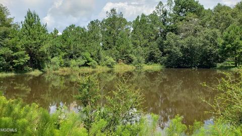 21511 Saucier Lizana Rd, Saucier, MS 39574 photo 23