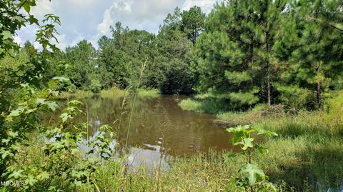 21511 Saucier Lizana Rd, Saucier, MS 39574 photo 22