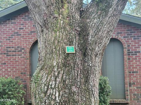 7733 Manini Way, Diamondhead, MS 39525 photo 24