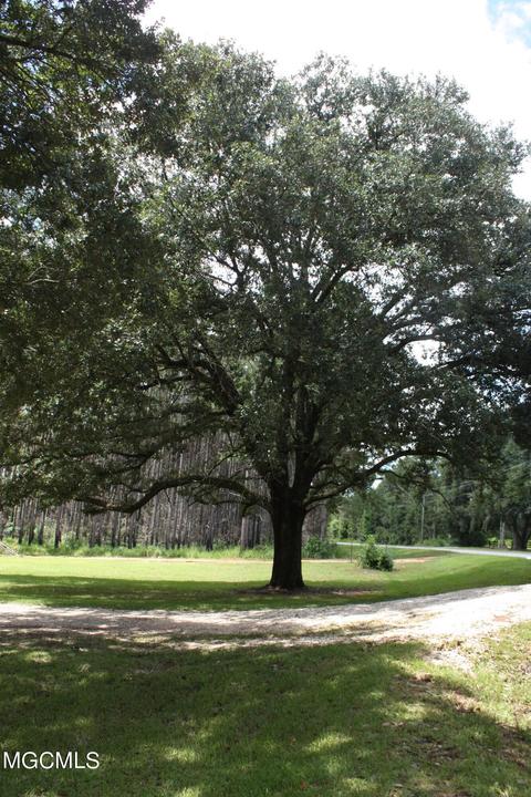 2203 Cooks Corner Rd, Lucedale, MS 39452 photo 9