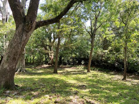 3748 Riverpine Dr, Moss Point, MS 39563 photo 31