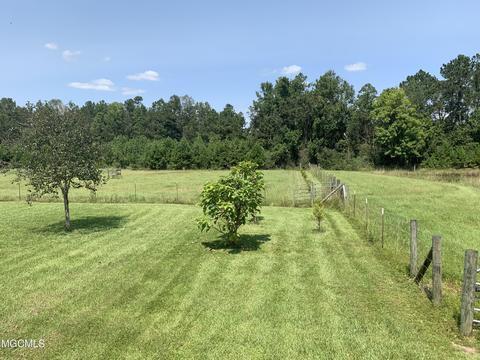 119 Tadpole Ln, Lucedale, MS 39452 photo 40