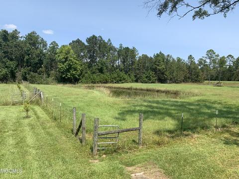 119 Tadpole Ln, Lucedale, MS 39452 photo 39