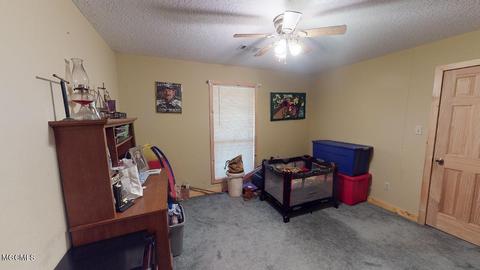 119 Tadpole Ln, Lucedale, MS 39452 photo 22