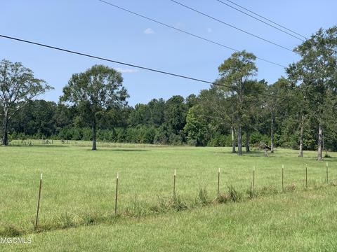 119 Tadpole Ln, Lucedale, MS 39452 photo 35