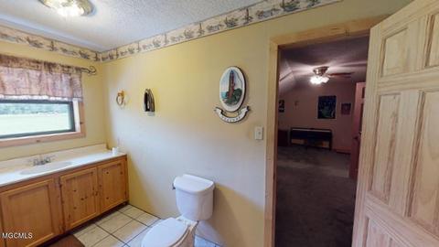 119 Tadpole Ln, Lucedale, MS 39452 photo 26