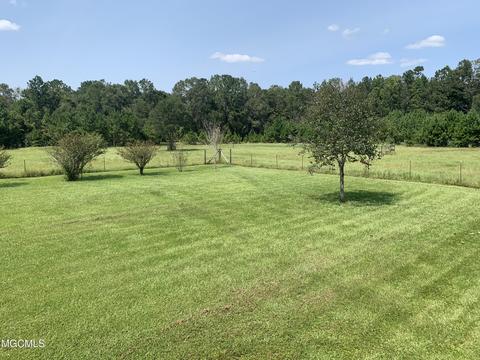 119 Tadpole Ln, Lucedale, MS 39452 photo 41