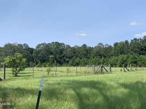 119 Tadpole Ln, Lucedale, MS 39452 photo 37