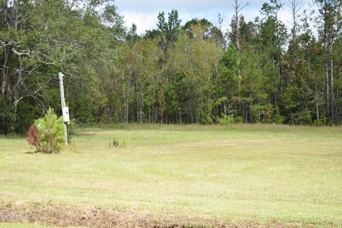 9157 River Rd, Lucedale, MS 39452 photo 54