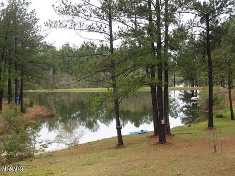 150 Maple Dr, Perkinston, MS 39573 photo 29