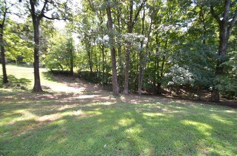 1529 Wetonga Ln, Hernando, MS 38632 photo 3