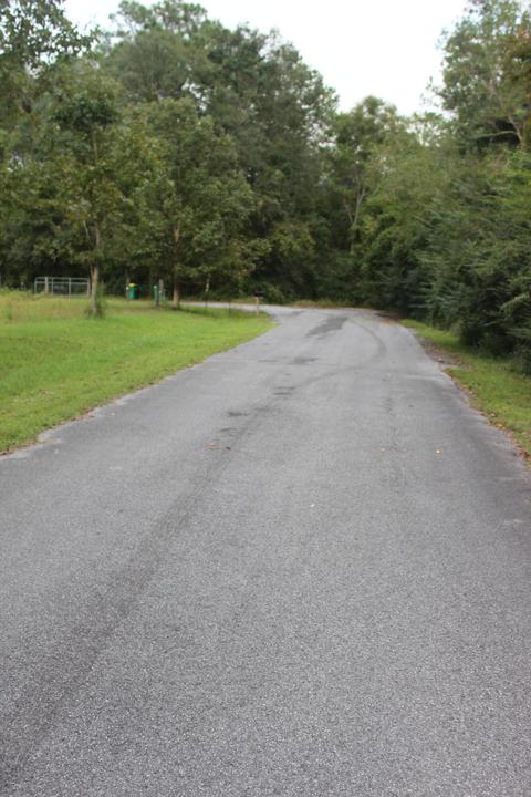 7209 Pinetop Rd, Lucedale, MS 39452 photo 50