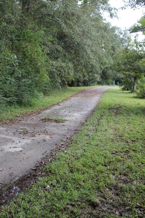 7209 Pinetop Rd, Lucedale, MS 39452 photo 8