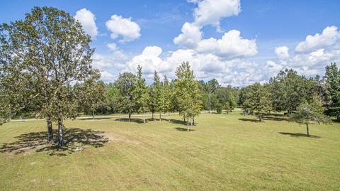 18241 Bert Dedeaux Rd, Saucier, MS 39574 photo 5
