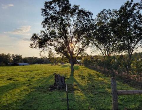 249 V E Howell Rd, Lucedale, MS 39452 photo 30