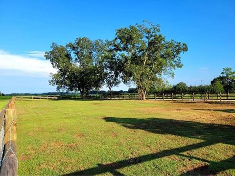 249 V E Howell Rd, Lucedale, MS 39452 photo 10