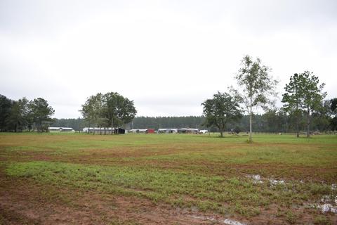 249 V E Howell Rd, Lucedale, MS 39452 photo 29
