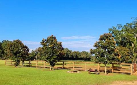 249 V E Howell Rd, Lucedale, MS 39452 photo 9