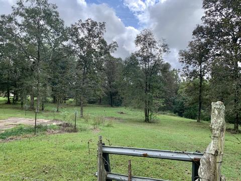 142 Hickory Hills Ln, Lucedale, MS 39452 photo 78