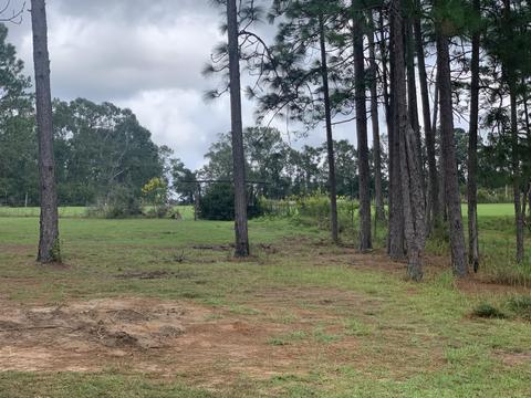 142 Hickory Hills Ln, Lucedale, MS 39452 photo 75