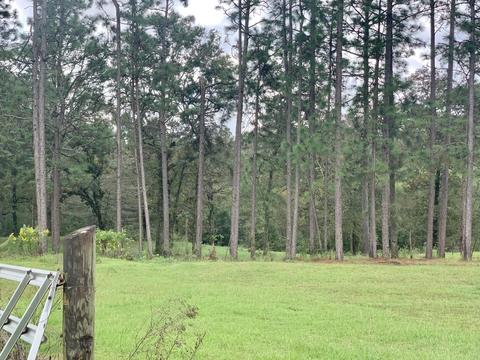 142 Hickory Hills Ln, Lucedale, MS 39452 photo 72