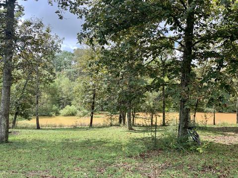 142 Hickory Hills Ln, Lucedale, MS 39452 photo 47