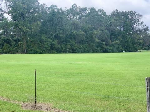 142 Hickory Hills Ln, Lucedale, MS 39452 photo 67