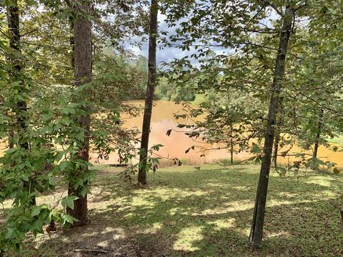 142 Hickory Hills Ln, Lucedale, MS 39452 photo 52