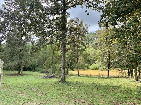 142 Hickory Hills Ln, Lucedale, MS 39452 photo 48